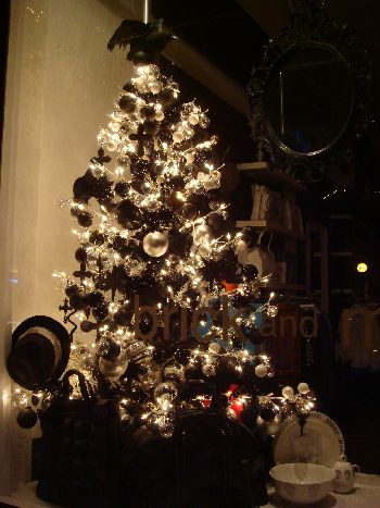 2007tree5