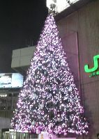 2009tree1