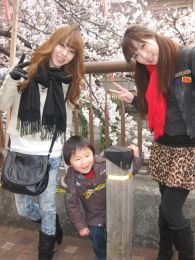 Ohanami1