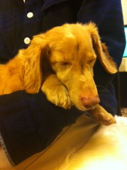 Photo1_2