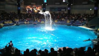 Shinagawaaquarium1